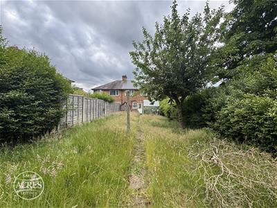 Picture 27